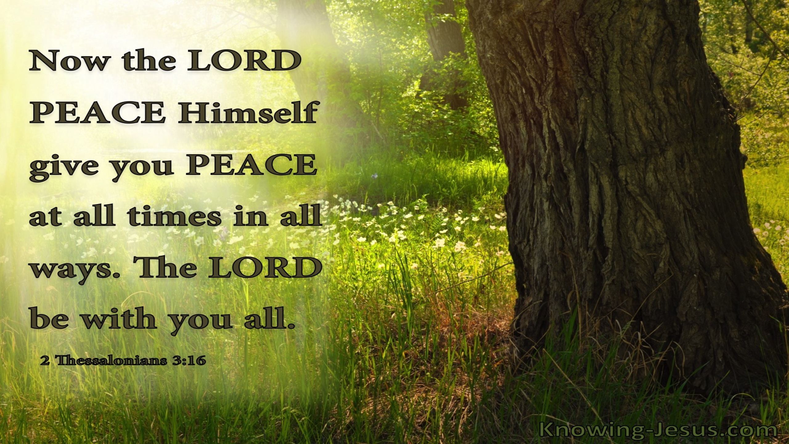 2 Thessalonians 3:16 God Of Peace (brown)